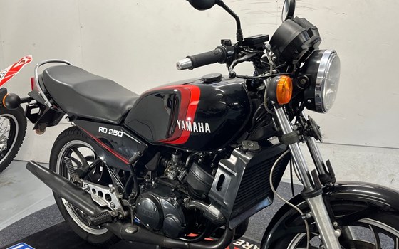 Gebrauchtmotorrad Yamaha RD 250 - Bild 2