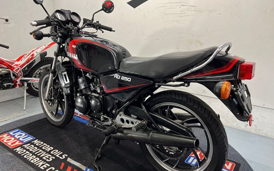 Gebrauchtmotorrad Yamaha RD 250 - Bild 3