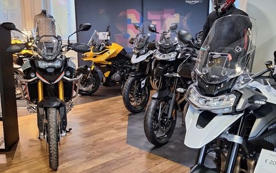 Gebrauchtmotorrad Triumph TF 250-X - Bild 8