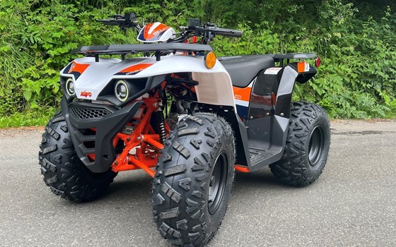 Neufahrzeug Kayo Racing Bull 125 - Bild 2