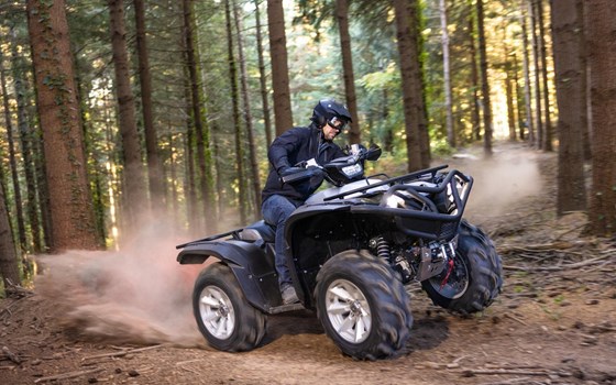 Neufahrzeug Yamaha Grizzly 700 25th Anniversary - Bild 6