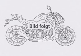 Neumotorrad Kawasaki Z900