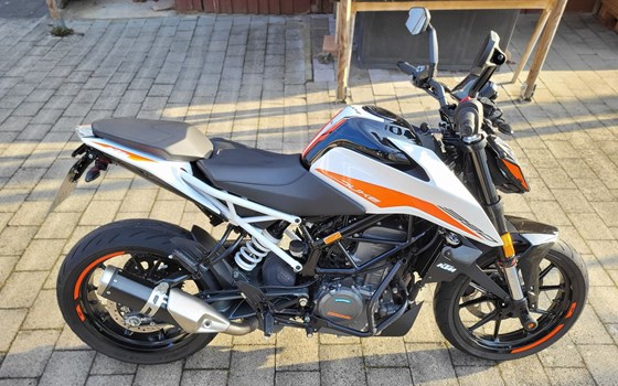 Gebrauchtmotorrad KTM 390 Duke - Bild 2