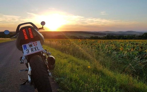 Gebrauchtmotorrad Suzuki SV650 - Bild 6