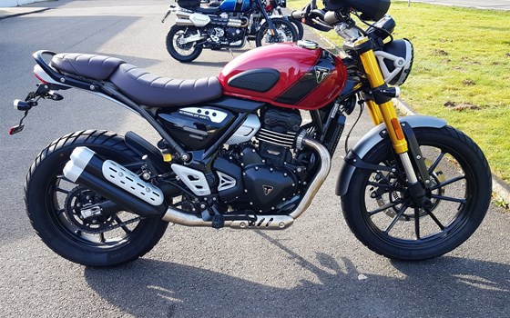 Gebrauchtmotorrad Triumph Scrambler 400 X - Bild 4