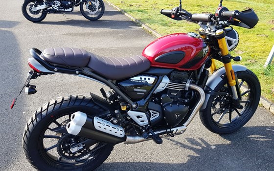 Gebrauchtmotorrad Triumph Scrambler 400 X - Bild 6