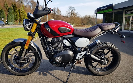 Gebrauchtmotorrad Triumph Scrambler 400 X - Bild 2
