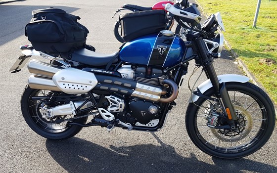 Gebrauchtmotorrad Triumph Scrambler 1200 XC - Bild 4