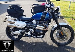 Gebrauchte Triumph Scrambler 1200 XC