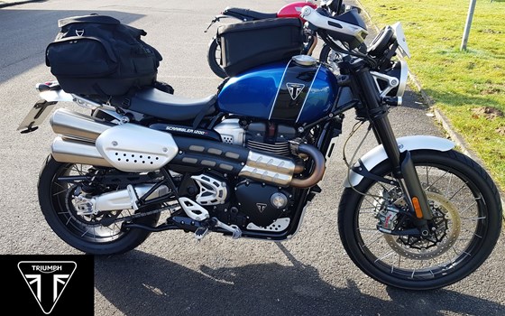 Gebrauchtmotorrad Triumph Scrambler 1200 XC - Bild 1