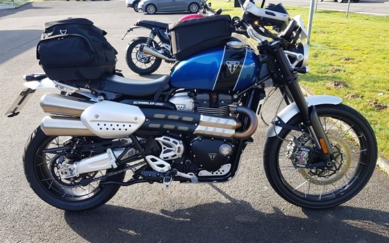 Gebrauchtmotorrad Triumph Scrambler 1200 XC - Bild 8