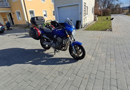 Gebrauchte Honda CB 900 F Hornet