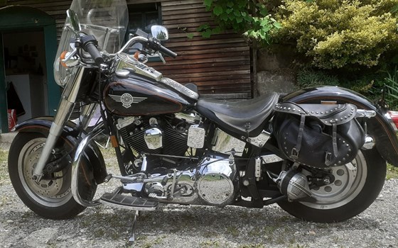 Gebrauchtmotorrad Harley-Davidson Softail Evo 1340 - Bild 2