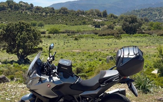 Gebrauchtmotorrad Honda NT1100 DCT - Bild 1