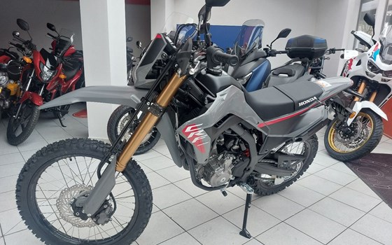 Neufahrzeug Honda CRF300L - Bild 2