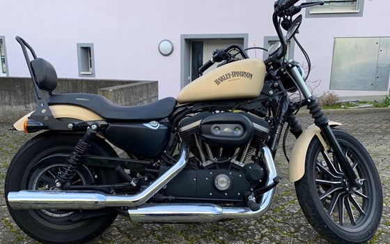 Motorrad Occasion Harley-Davidson Sportster XL 1200C Custom - Bild 1