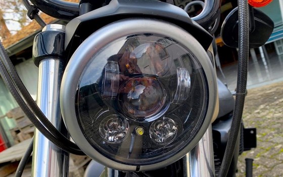 Motorrad Occasion Harley-Davidson Sportster XL 1200C Custom - Bild 7