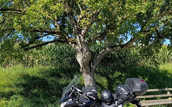 Gebrauchtmotorrad Yamaha Tracer 700 - Bild 2