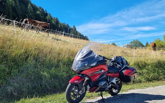 Gebrauchtmotorrad BMW R 1250 RT - Bild 4