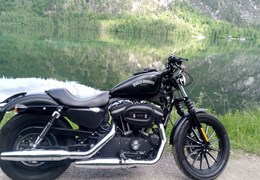 Gebrauchte Harley-Davidson Sportster XL 883 N Iron