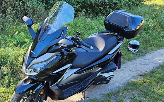 Gebrauchtmotorrad Honda Forza 350 - Bild 2