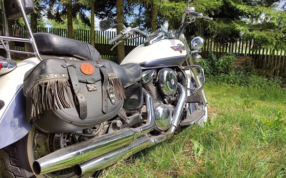 Gebrauchtmotorrad Kawasaki VN 1500 Classic - Bild 3