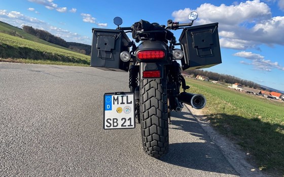 Gebrauchtmotorrad Honda CMX500 Rebel S - Bild 5