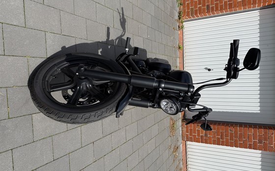 Gebrauchtmotorrad Harley-Davidson Softail Standard FXST - Bild 4