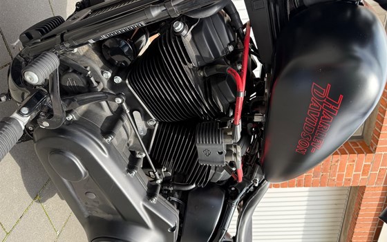 Gebrauchtmotorrad Harley-Davidson Softail Standard FXST - Bild 6