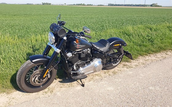 Gebrauchtmotorrad Harley-Davidson Softail Slim FLSL - Bild 12