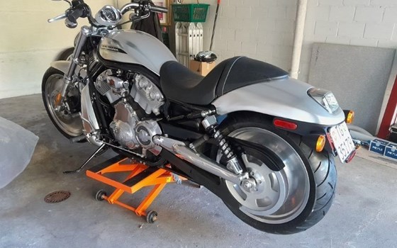 Motorrad Occasion Harley-Davidson V-Rod VRSCB - Bild 5