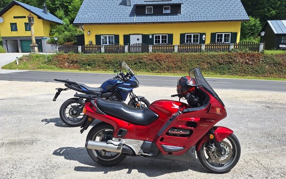 Gebrauchtmotorrad Honda ST 1100 Pan-European - Bild 1