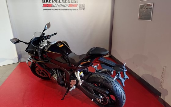 Neufahrzeug QJ Motor SRK 800 RR - Bild 5