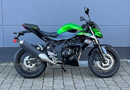 Neumotorrad Kawasaki Z125