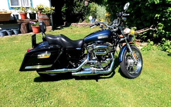 Gebrauchtmotorrad Harley-Davidson Sportster XL 1200 L Low - Bild 1