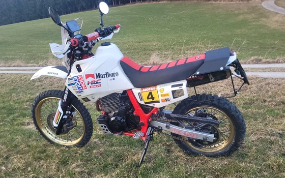 Gebrauchtmotorrad Honda NX 500 Dominator - Bild 4