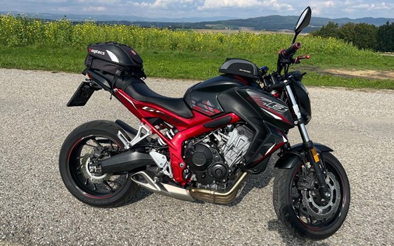 Gebrauchtmotorrad Honda CB650F - Bild 11