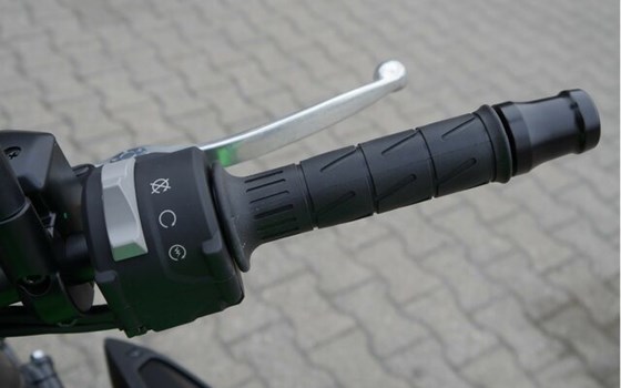 Neufahrzeug Kawasaki Z900 70kW - Bild 16