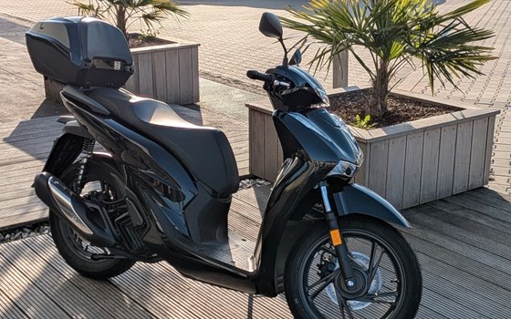 Gebrauchtmotorrad Honda SH125i - Bild 2