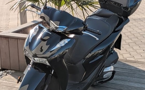 Gebrauchtmotorrad Honda SH125i - Bild 3