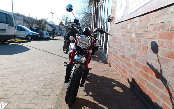 Gebrauchtmotorrad Honda Monkey 125 - Bild 3