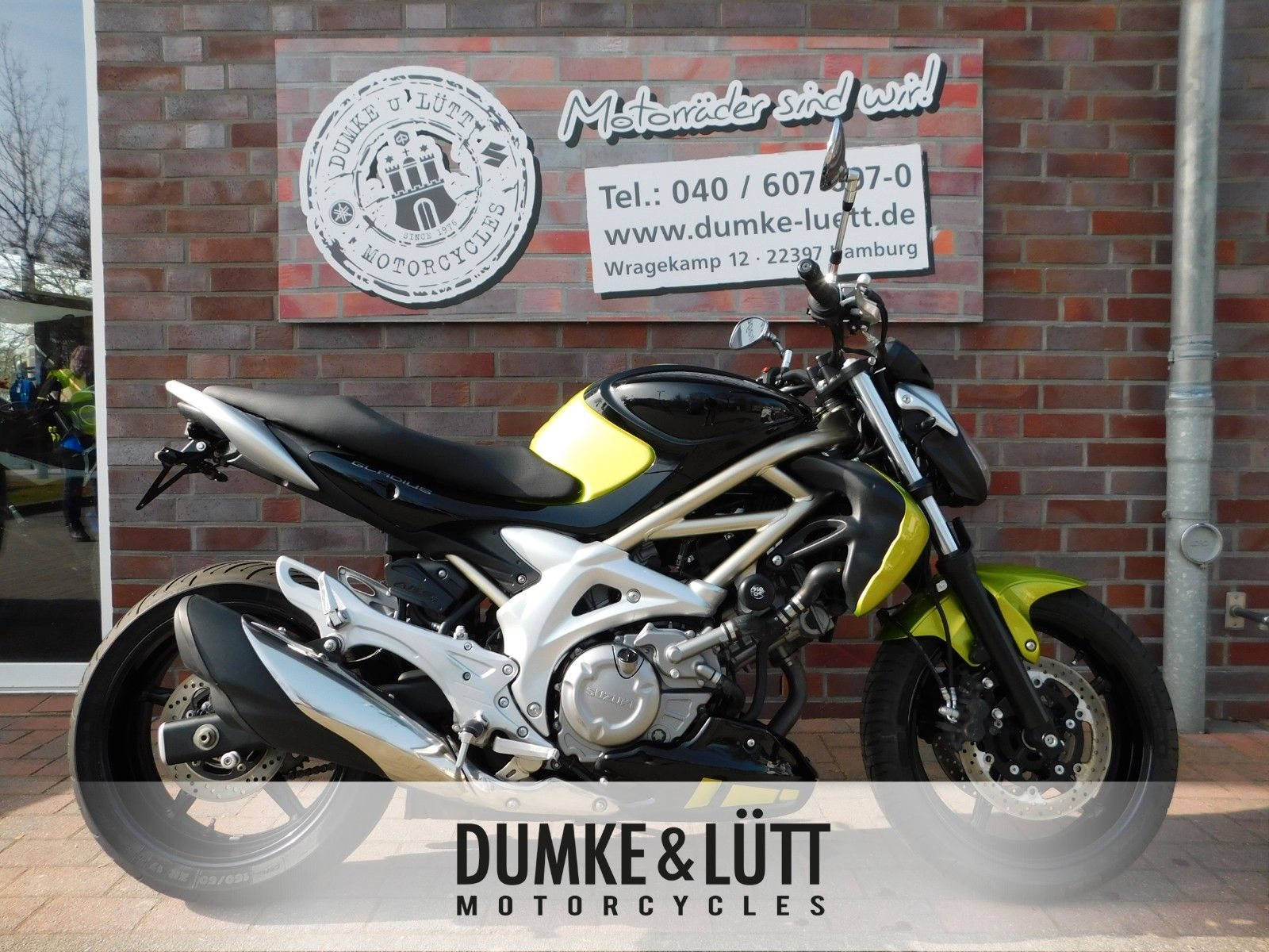 Suzuki SFV 650 Gladius