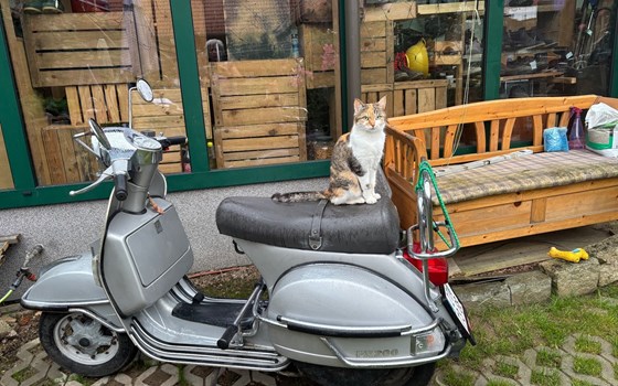 Gebrauchtmotorrad Vespa P200E - Bild 1