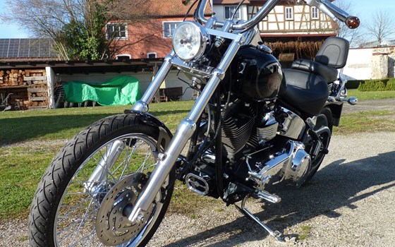 Gebrauchtmotorrad Harley-Davidson Softail Custom FXSTC - Bild 3