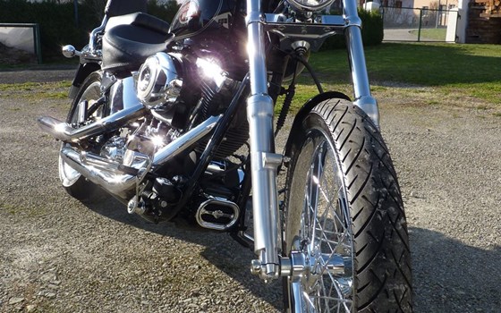 Gebrauchtmotorrad Harley-Davidson Softail Custom FXSTC - Bild 4