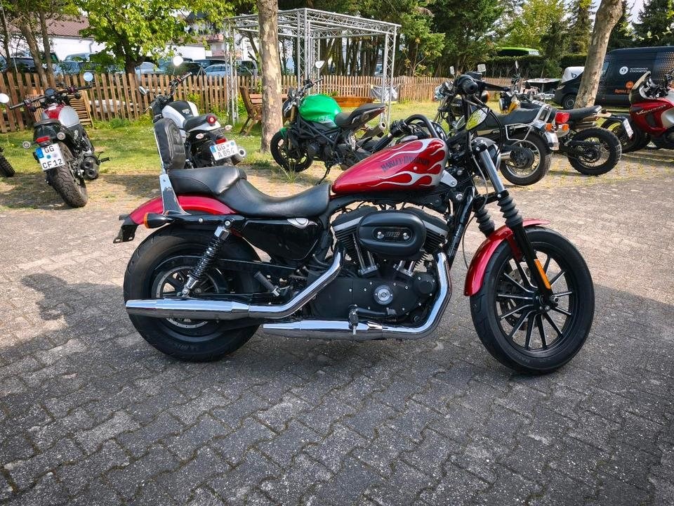 Angebot Harley-Davidson Sportster XL 883 N Iron