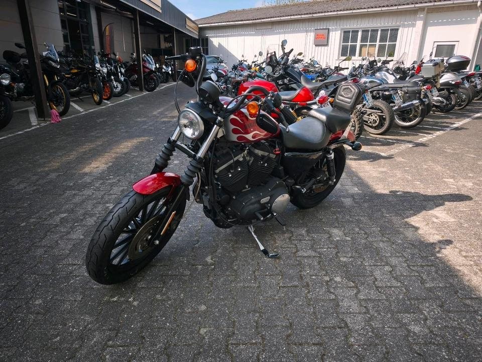 Angebot Harley-Davidson Sportster XL 883 N Iron