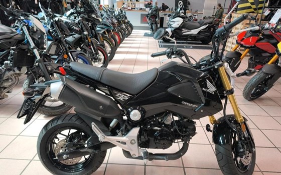 Gebrauchtmotorrad Honda MSX 125 - Bild 2