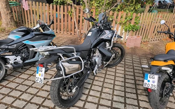 Neufahrzeug CFMOTO 800MT-X - Bild 2