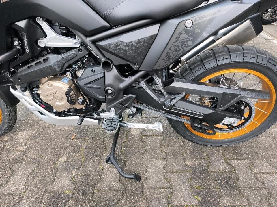 Angebot Voge DS800X Rally